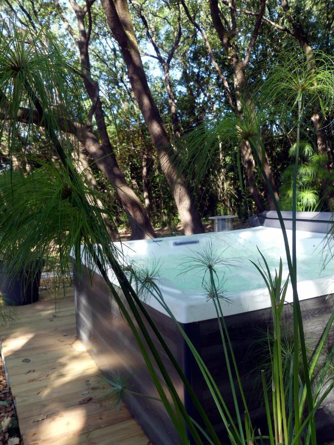 Le Predaiou Bed & Breakfast La Garde Adhemar Exterior photo